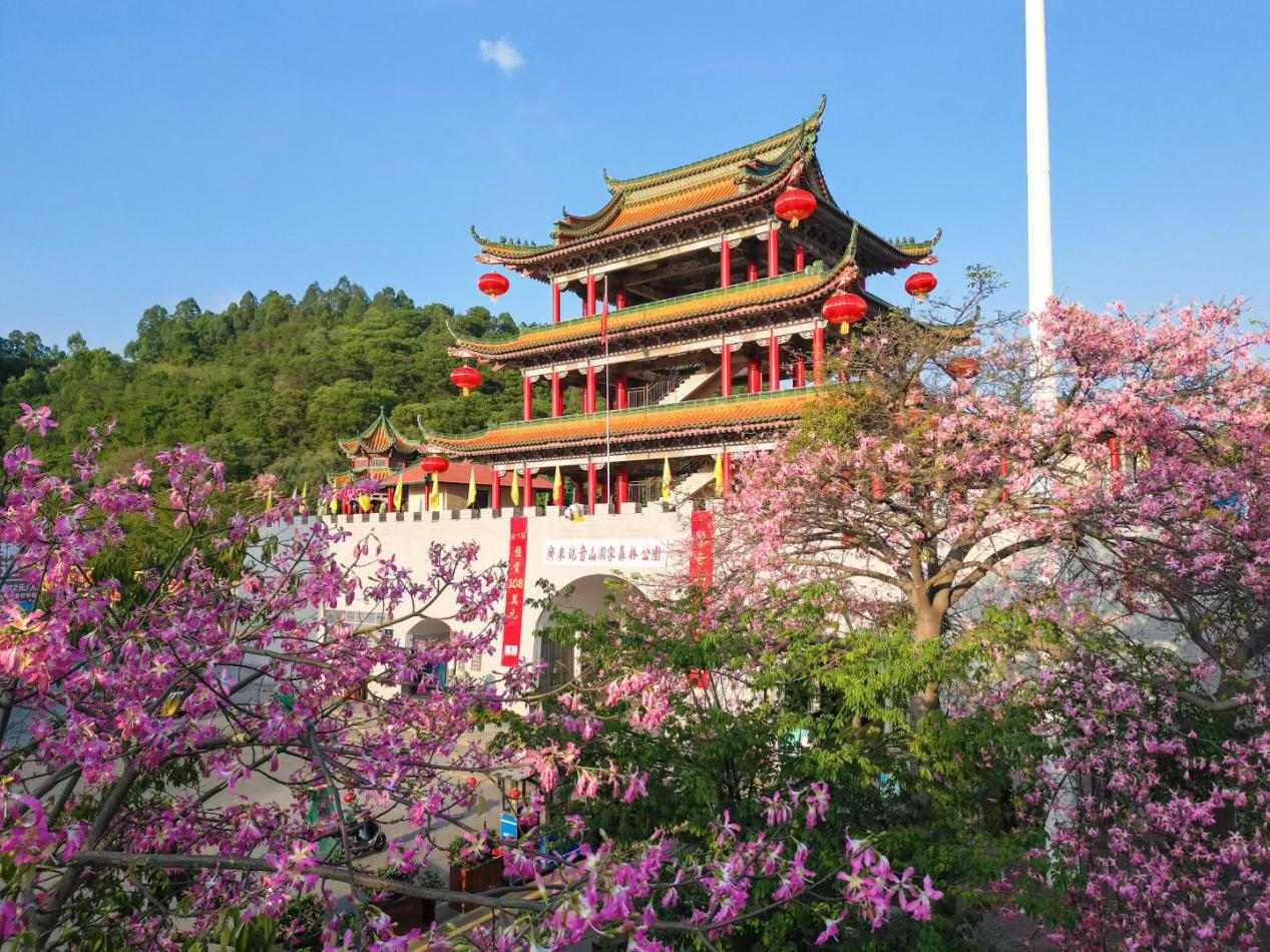 图片5.jpg